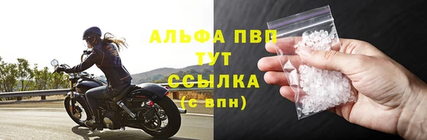 ешки Аркадак