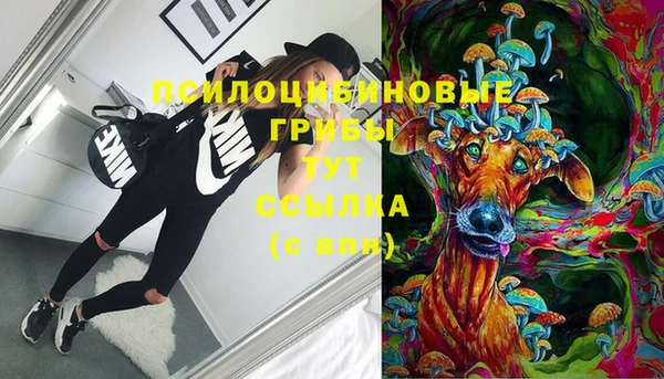 ешки Аркадак